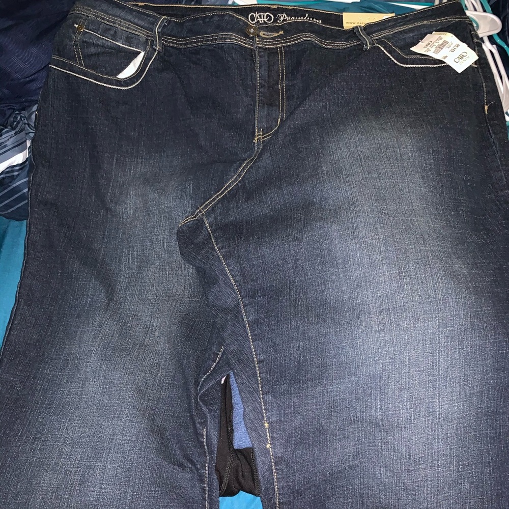 Cato’s Plus Size Denim Jeans